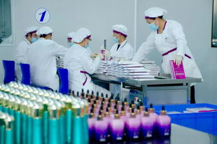 珠海日新化妆品 值得信赖的高端选择